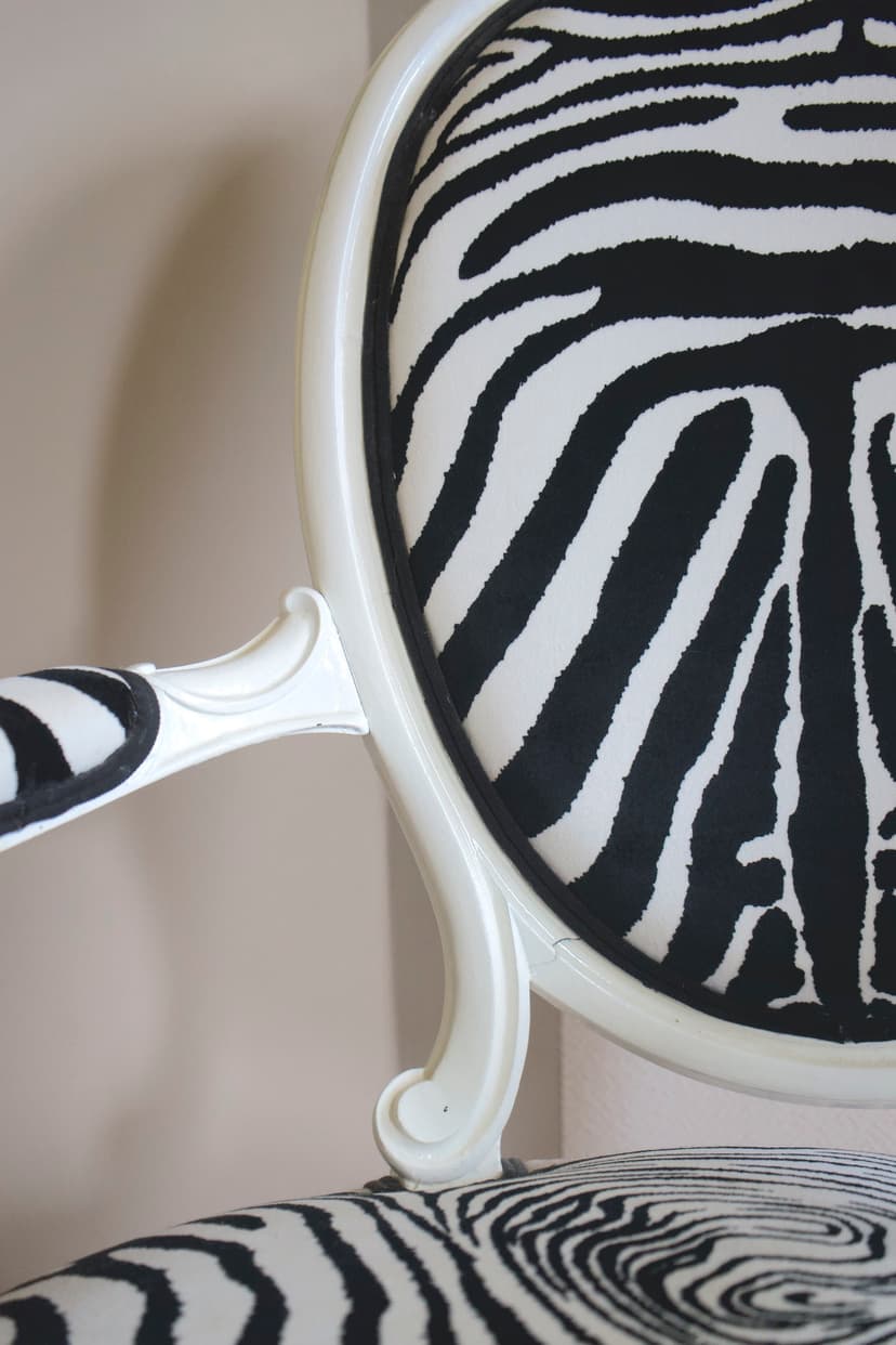 Zèbre - Chaises zoom